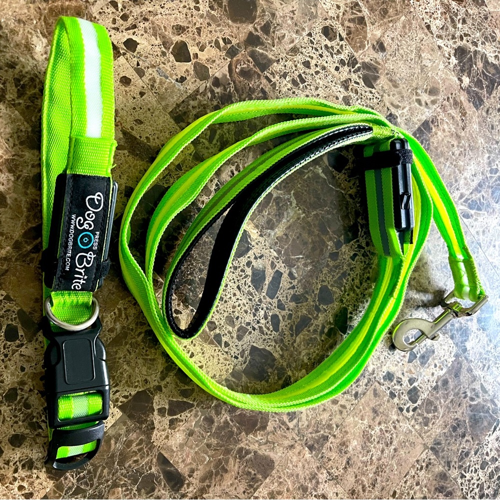 Lighted waterproof dog leash and collar